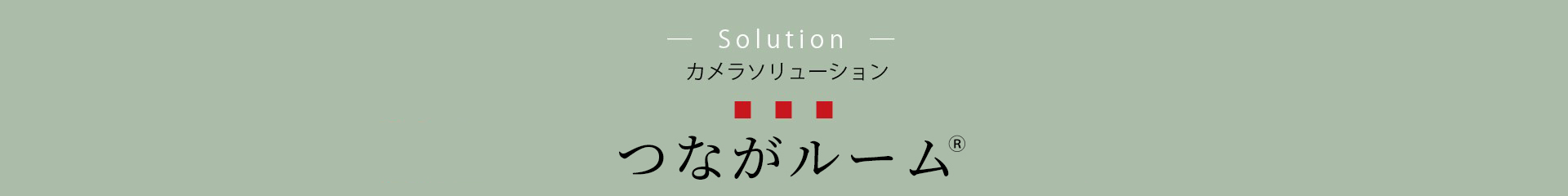 カメラソリューション：つながルーム